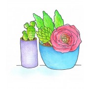 Catherine Scanlon Cling Mount Stamp - Potted Succulents AGC3-2847
