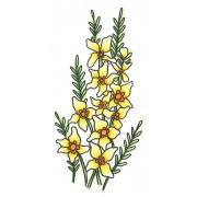 Catherine Scanlon Clear Stamp - Daffodil Spray MC-2736