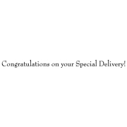 Michelle Masters Wood Mounted Stamp - Congratulations Special Delivery G4-2614