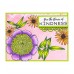 Catherine Scanlon Cling Mount Stamps: Kindness Blooms CSLCS-003