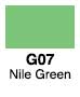 Copic Marker - Nile Green G07