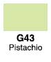Copic Marker - Pistachio G43