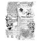 Suzanne Carillo Single Cling Mount Stamps